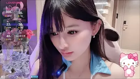 fog- webcam model stream image