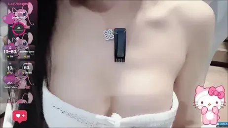 fog- webcam model stream image