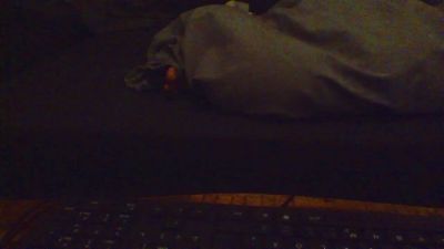 Eccessivo webcam cam4 model stream image