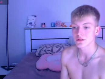 parzeval_16 webcam model stream image
