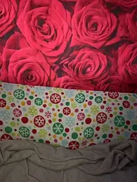 CarmelaAnthony webcam model stream image