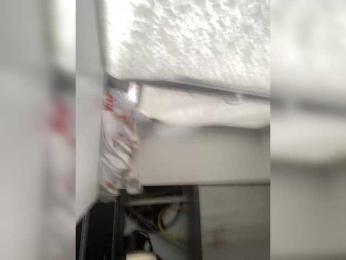 Olyd webcam model stream image