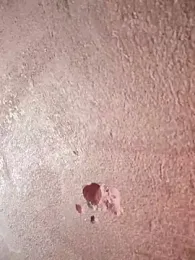 Bhabi-Hot0 webcam model stream image