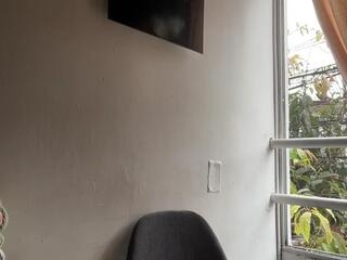 Braun Phillips webcam model stream image