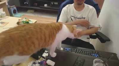 i1toFQ webcam model stream image