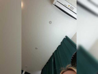 Ellidi webcam model stream image