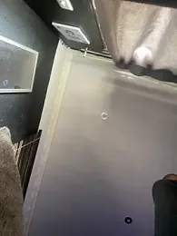 BlueIceCube webcam model stream image