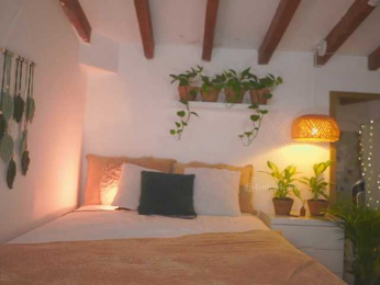 Meegan webcam model stream image