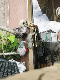 k_lebannon webcam model stream image