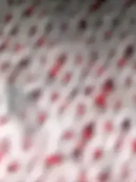 DominickVegas webcam model stream image