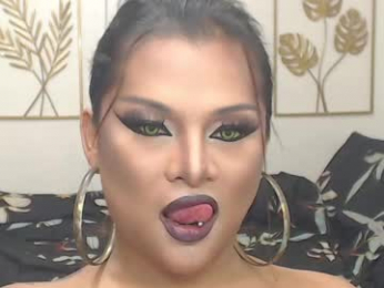 yourtrannyqueenxxx webcam model stream image