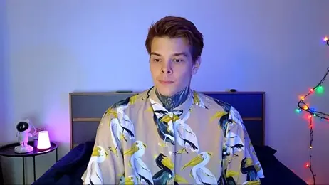 DENIS_HERE webcam model stream image