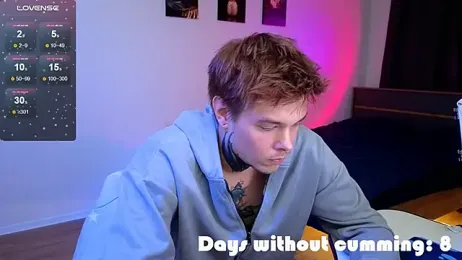 DENIS_HERE webcam model stream image