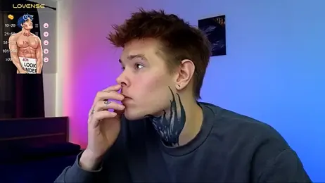 DENIS_HERE webcam model stream image