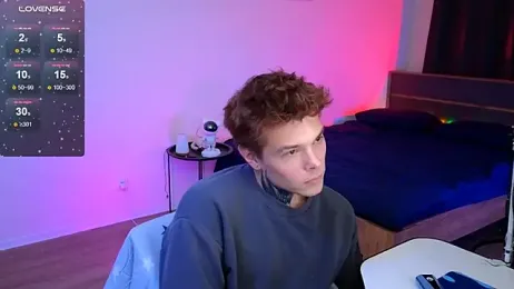 DENIS_HERE webcam model stream image