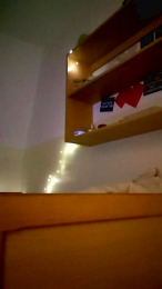 DonDonniNS webcam model stream image