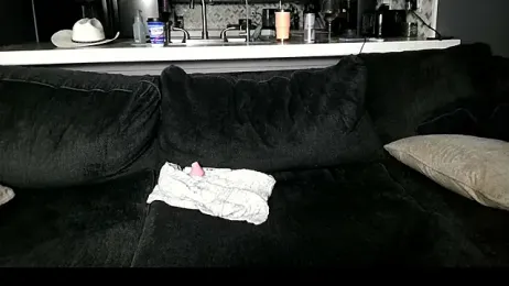 ventressink webcam model stream image