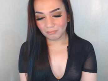 lamerystone webcam model stream image