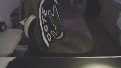 cobaltfx webcam model stream image