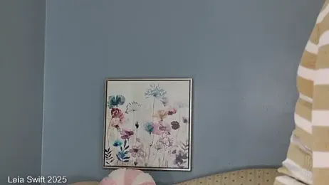 LeiaSwift webcam model stream image