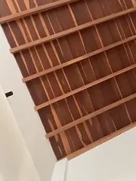 curchez_ webcam model stream image