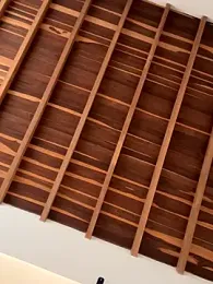 curchez_ webcam model stream image