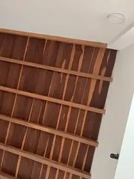 curchez_ webcam model stream image