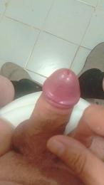 Gustami webcam cam4 model stream image