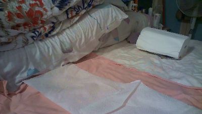 FasrterF1 webcam model stream image