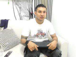 Venedic Bull webcam model stream image