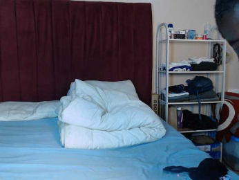 wetsin webcam model stream image