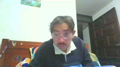 Heisenbergs webcam model stream image