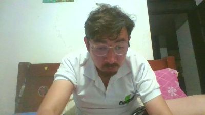 Heisenbergs webcam model stream image