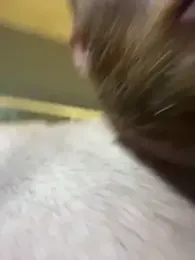 Thebald-topher webcam model stream image