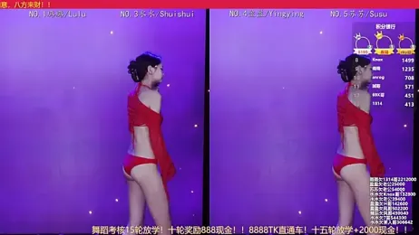 SK-001 webcam model stream image