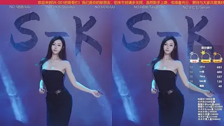 SK-001 webcam model stream image