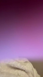 Melanie657 webcam model stream image