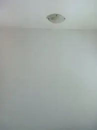 Virgin_Pussy_Love webcam model stream image