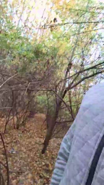 Socke72 webcam model stream image