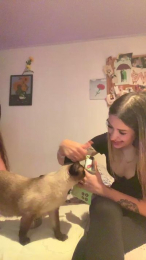 goldenmamis webcam model stream image