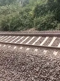 RNlov webcam model stream image