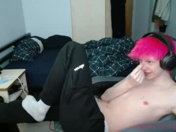 polarny05 webcam model stream image