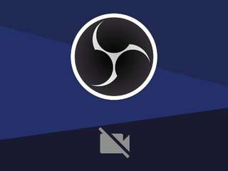 saamytits webcam model stream image