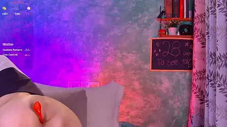 VicenteFerrer webcam model stream image