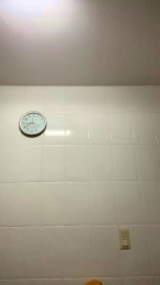 Canelasol2 webcam model stream image