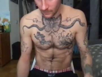 brianmuscle webcam model stream image