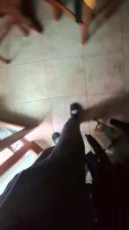 MarioeLola webcam cam4 model stream image