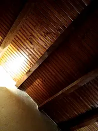 CurlyElisa webcam model stream image