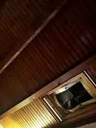 CurlyElisa webcam model stream image