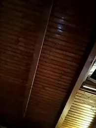 CurlyElisa webcam model stream image